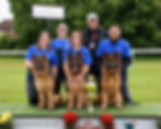 Long-haired German Shepherds at a show with their team.