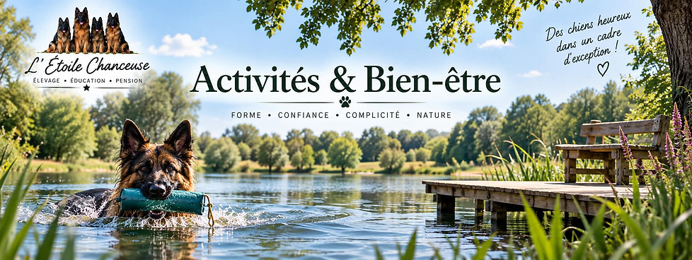 Activités & Bien être.jpg