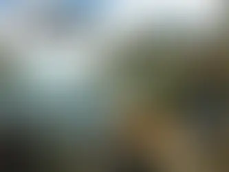 Far Cry scene with a aman with a dog fishing
