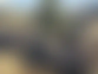 GTA Online’s Winter update A Safehouse in the Hills arrives December 10, 2025, adding luxury mansions, new missions, vehicles, and the long-awaited return of Michael.