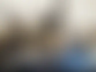 Fantasy warriors, bear, and text "HIGHGUARD" on action-packed cover. "LAYOFF" stamp overlay. Dramatic and intense mood.