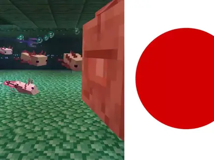 minecraft japan flag