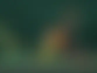 Stick It to the Stickman Sweeps Games Industry Africa Awards 2025.