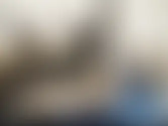 Fantasy warriors and a bear charge forward under the title "HIGHGUARD." A "SHUT DOWN" sign overlays the action. Dynamic, intense scene.