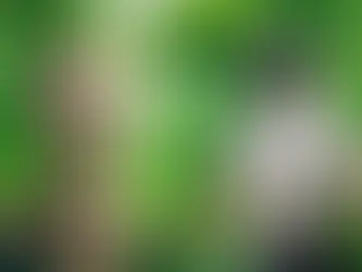 All about the PUBG Mobile 4.2 update — new nature-themed mode, Groot-style companion, magical plant system, Divine Deer and Scorpion vehicles, flying wings, release window, and full feature breakdown.