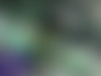 Tencent Delta Force