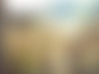 Octopath Traveler 0.