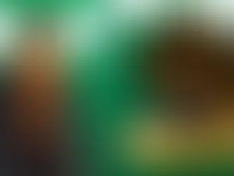 Fortnite Hogwarts Legacy collab with free Chocolate Frog Backbling.