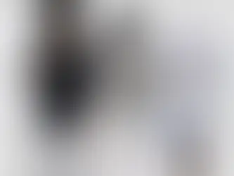 Hideo Kojima and popular Hololive VTuber Usada Pekora