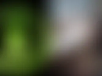 nvidia hotfix, Black Myth Wukong