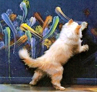 pisces cat.jpg