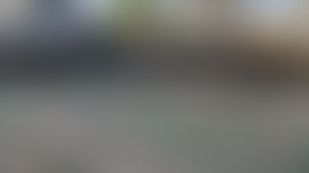 Growing a Backyard Prairie - Part 2