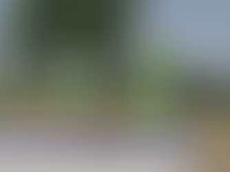 Electric Vehicles 101