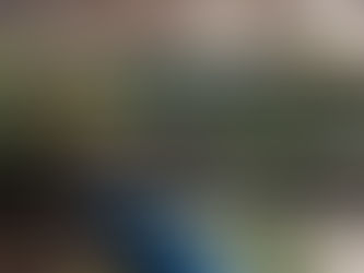 Exploring Iowa Aquaponics with Early Morning Harvest