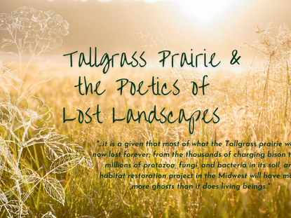 Tallgrass Prairie & the Poetics of Lost Landscapes