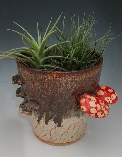 dracaenas 8-in Dracaena Marginata