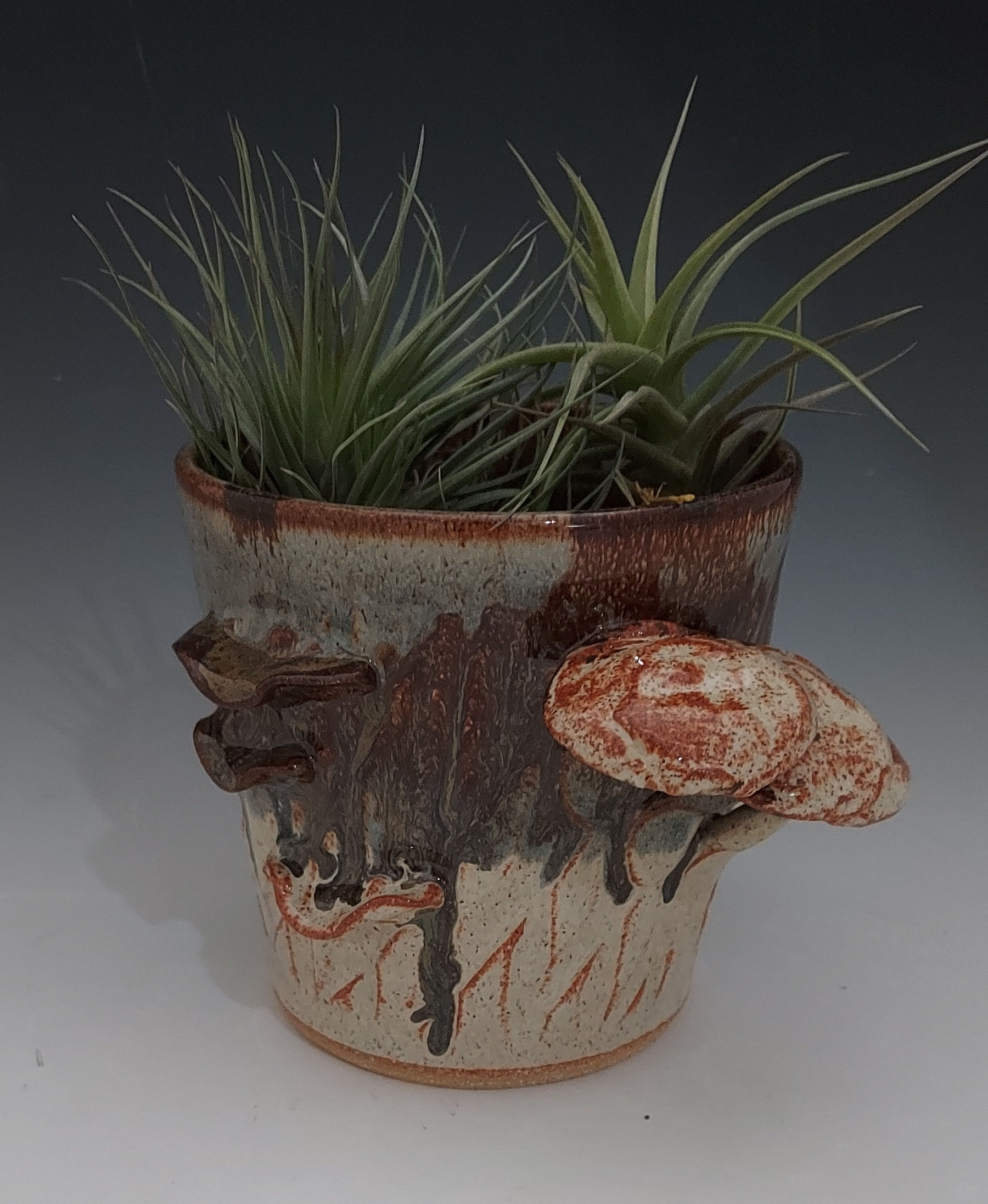 Mushroom Planter
