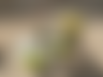 A Day in the Life of a Gren-Mac Construction Site