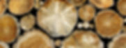 RT-banner-scan-01.JPG