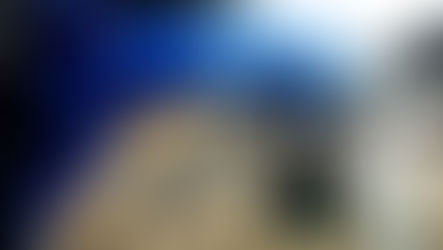 Este robô pode ajudar a fazer suas compras online.