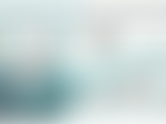 Transition Plan: From Shadow AI to the Minimum Viable Organization (MVO)