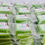 Thumbnail: AKARUI ANTI-ACNE