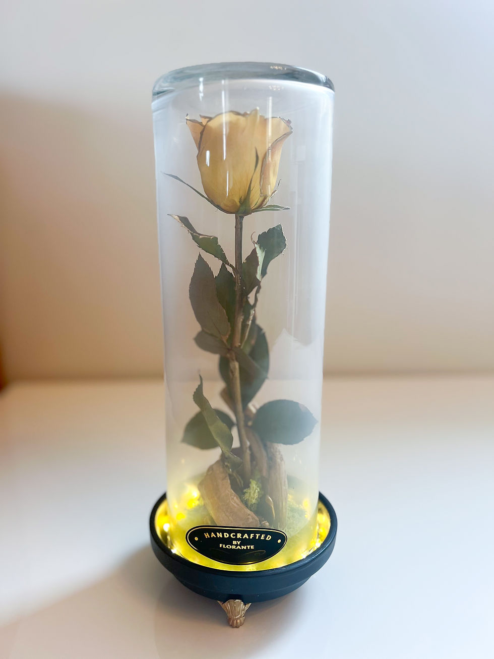 Preserved Rose in Tall Glass with Illuminated Base