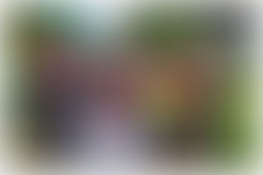 ข้าวเม็ดเล็กๆ ที่เต็มไปด้วยความรัก 💕 🍚✨️