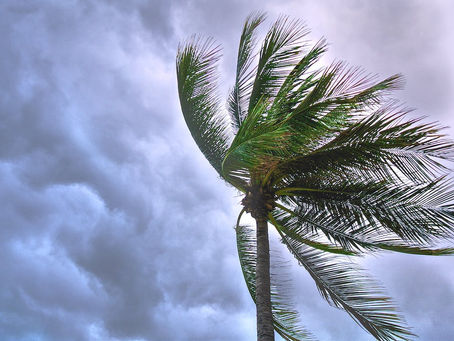 Was genau ist eigentlich Resilienz?