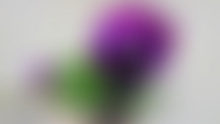 Kesusahan Yang Menimpa Kehidupan Naomi