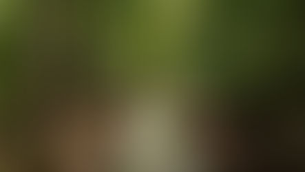 Keputusan yang Salah Membawa Padah