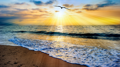 Muliakan Tuhan Kerana KeajibanNya