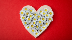 Jagalah Hati Anda Tetap Suci