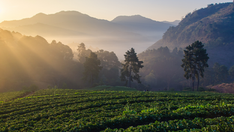 Mengerjakan Keselamatan ke Luar!