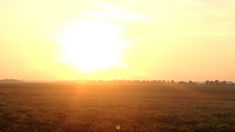 DOA NECF Hari 35: Janji-Janji Iman