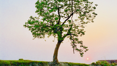 Kunci Transformasi Zakheus