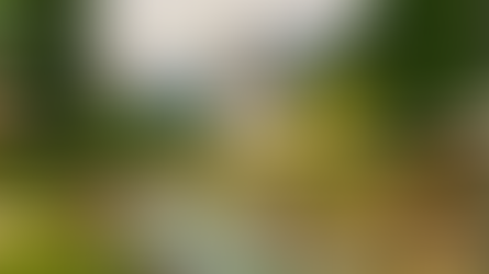 Kasihi Terhadap Rumah Tuhan