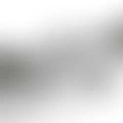 Kebebasan dalam Kebenaran