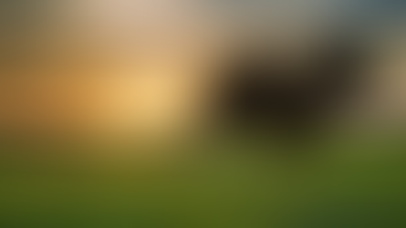 Ada Keindahan dalam Kerendahan Hati