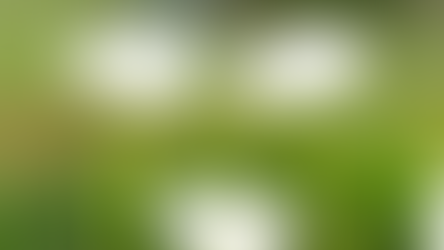 Pemimpin yang Lebih Agung daripada Musa