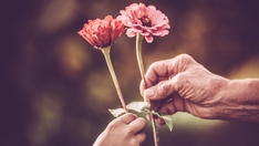 Berserah Hanya Pada Jagaan Tuhan