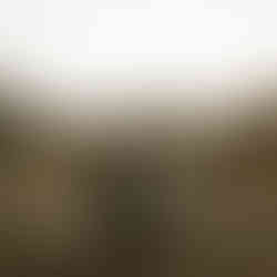 Family portrait in Glenville NY during peak autumn color, captured by Benjamin Jennings Studio.