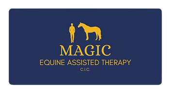 Equine Assisted Therapy Horse Human Connection