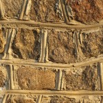 wall