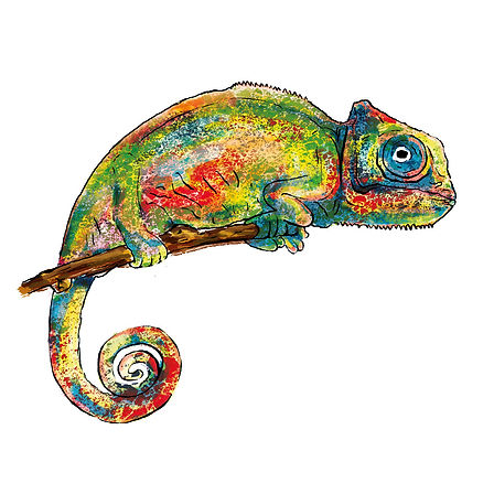 cameleon.jpg