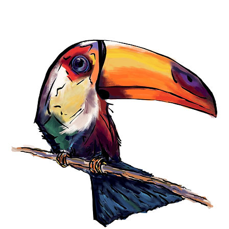 toucan.jpg