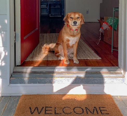 welcome dog.png