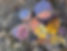 INF Famille 1 65x50.JPG