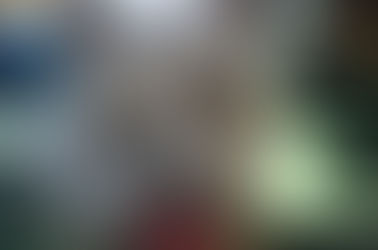 5 passos para escolher a melhor hospedagem para seu pet