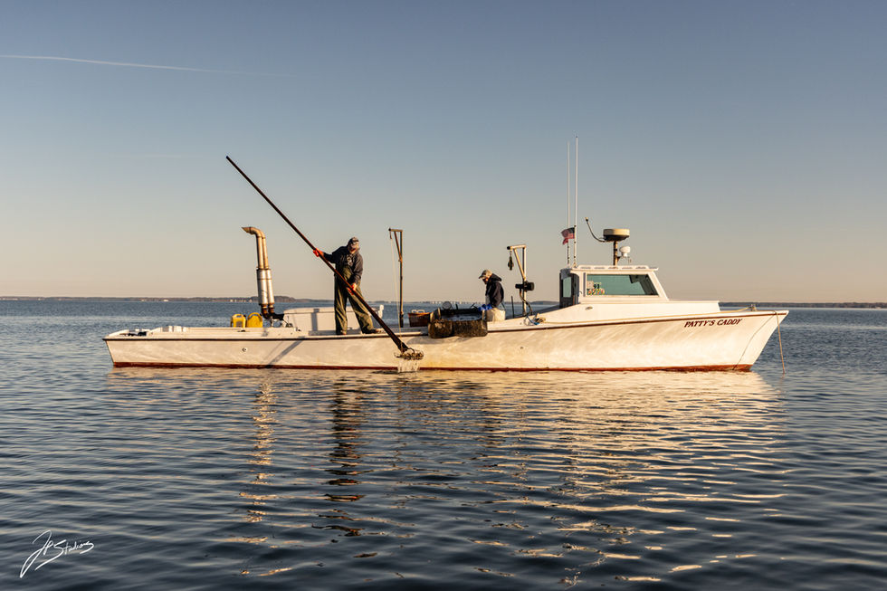 _J6A0471